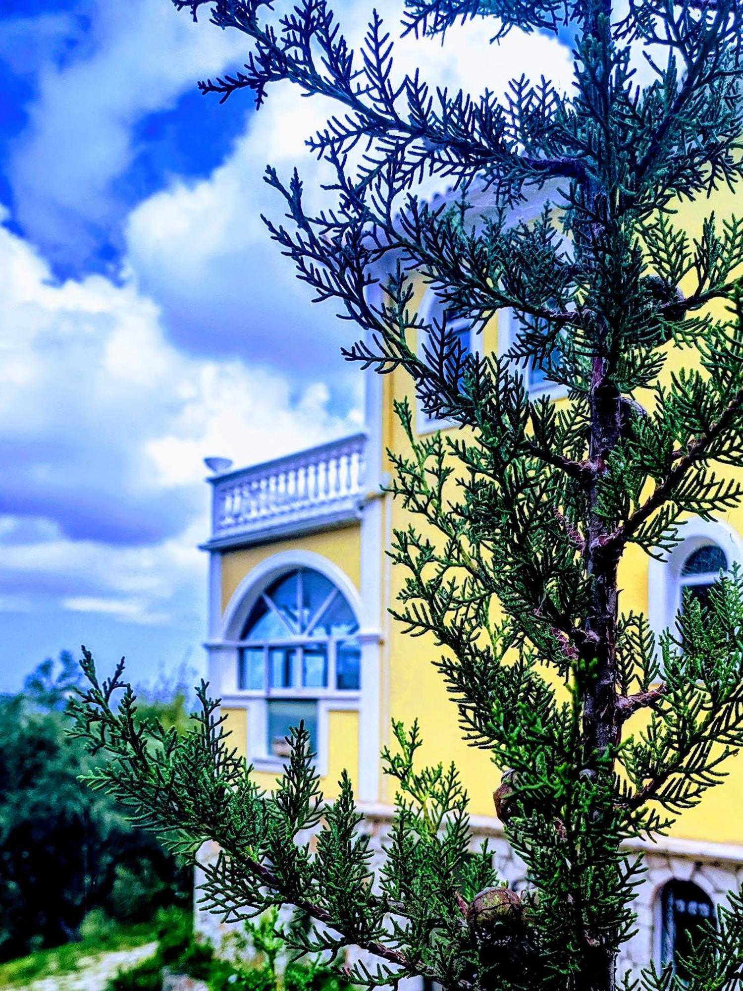 Vila Kalielaia Mouzákion Exterior photo